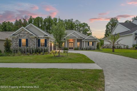 Single Family Residence in Brooksville FL 5018 Elm Leaf Drive.jpg