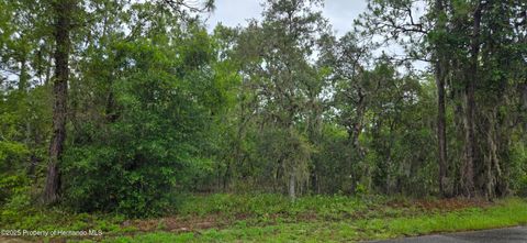 Unimproved Land in Lecanto FL 1308 N Prospect Avenue.jpg