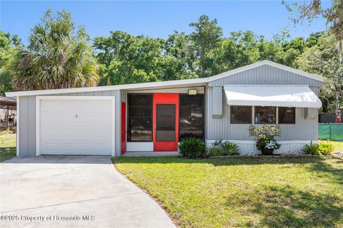 Mobile Home in Hudson FL 16636 Hill n Dale.jpg