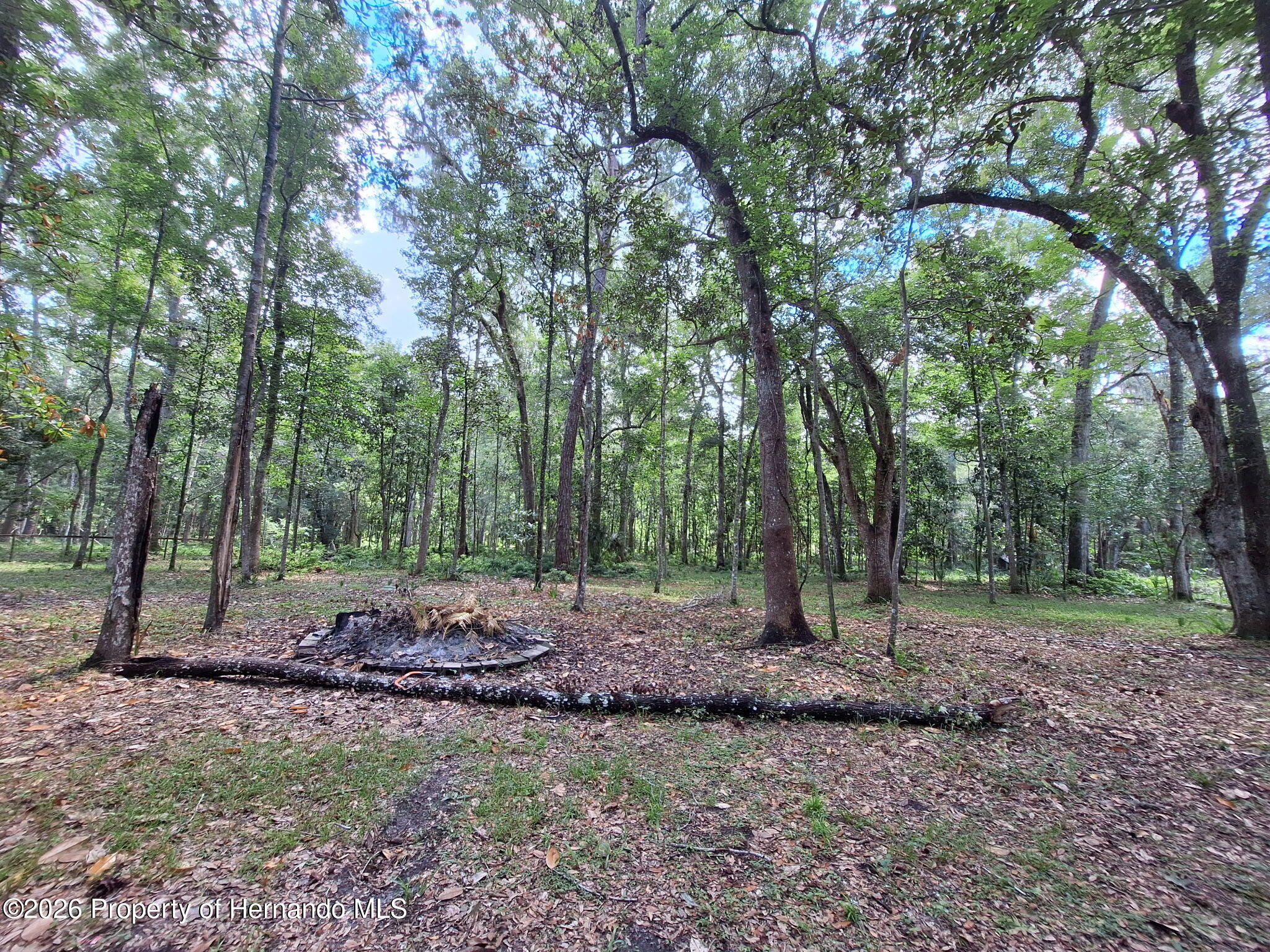 11304 Royal Dr, Brooksville, FL 34601 photo