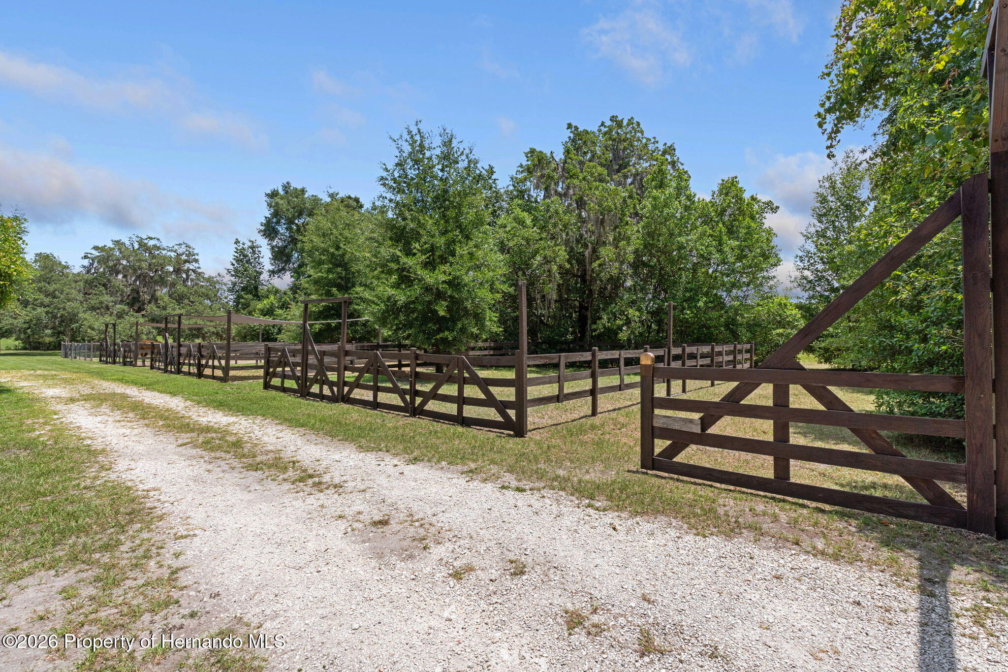 26255 Lambeth Rd, Brooksville, FL 34601 photo