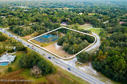 Unimproved Land in Spring Hill(Pasco) FL 0 County Line Road.jpg