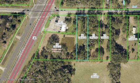 Unimproved Land in Brooksville FL 0 Powell Road.jpg