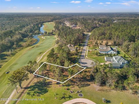 Unimproved Land in Brooksville FL 20132 ENGLISH WALNUT Place.jpg