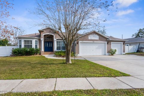 Single Family Residence in New Port Richey FL 7448 Mengi Circle.jpg