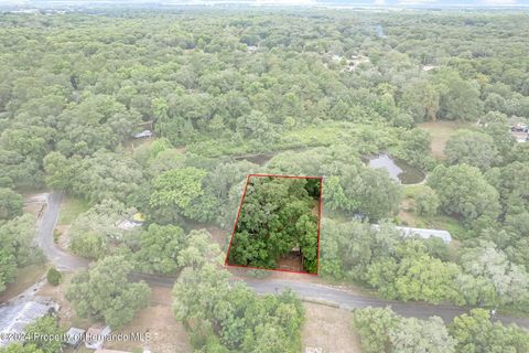 Unimproved Land in Dade City FL 3223 Dublin Road.jpg