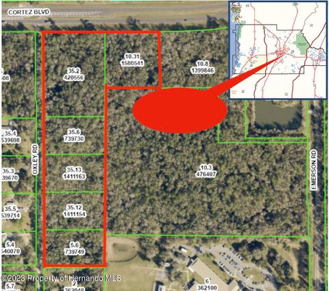 Unimproved Land in Brooksville FL 0 Cortez Boulevard.jpg