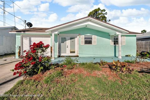 Single Family Residence in Hudson FL 13929 Muriel Avenue.jpg