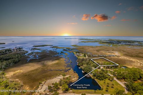 Unimproved Land in Hernando Beach FL 0 Indian Gulf Lane.jpg