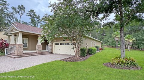 Single Family Residence in Brooksville FL 19581 Lily Pond Court.jpg