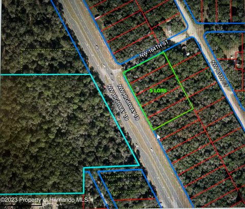 Unimproved Land in Chiefland FL 0 US 19 Highway.jpg