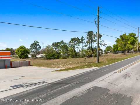 Unimproved Land in Brooksville FL 000 Weeping Willow Street 13.jpg