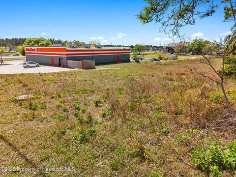 Unimproved Land in Brooksville FL 000 Weeping Willow Street 12.jpg
