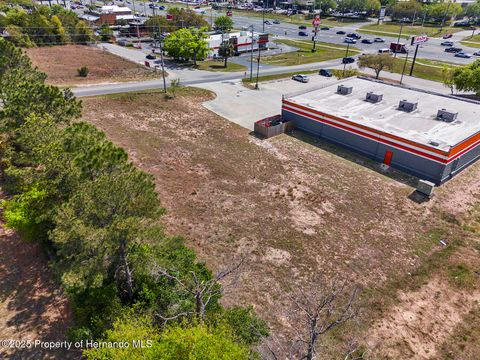 Unimproved Land in Brooksville FL 000 Weeping Willow Street 7.jpg