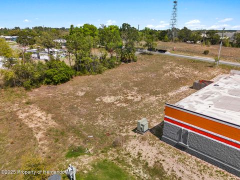 Unimproved Land in Brooksville FL 000 Weeping Willow Street 6.jpg