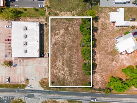 Unimproved Land in Brooksville FL 000 Weeping Willow Street 1.jpg