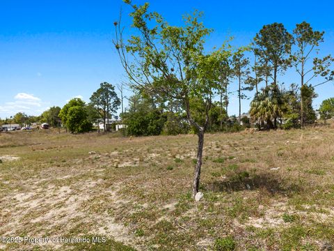 Unimproved Land in Brooksville FL 000 Weeping Willow Street 11.jpg