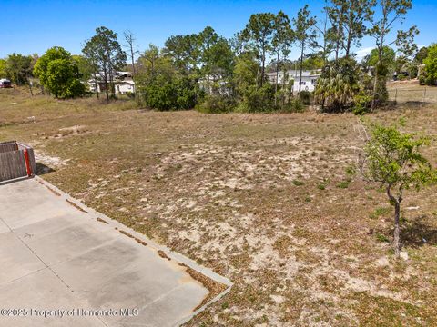 Unimproved Land in Brooksville FL 000 Weeping Willow Street 9.jpg