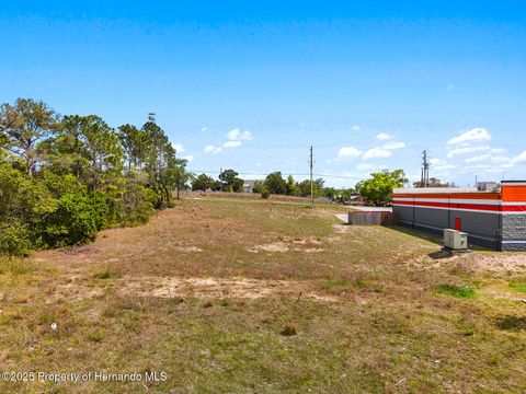 Unimproved Land in Brooksville FL 000 Weeping Willow Street 5.jpg