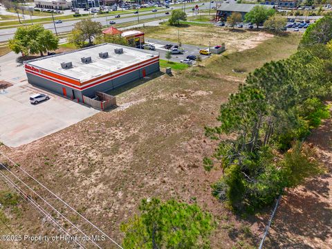 Unimproved Land in Brooksville FL 000 Weeping Willow Street 8.jpg