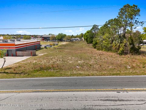 Unimproved Land in Brooksville FL 000 Weeping Willow Street 10.jpg
