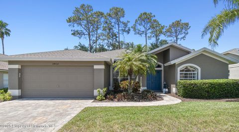 Single Family Residence in Hudson FL 18532 Myrtlewood Drive.jpg