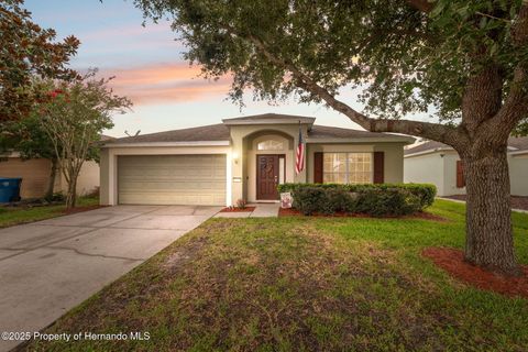 Single Family Residence in Brooksville FL 15585 Lily Wood Lane.jpg