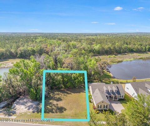 Unimproved Land in Brooksville FL 5545 Summit View Drive.jpg