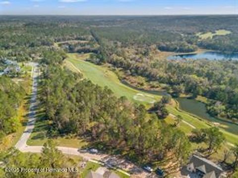 Unimproved Land in Brooksville FL 3897 Southern Valley Loop.jpg