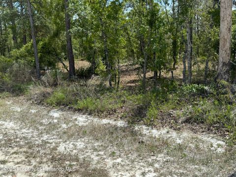 Unimproved Land in Brooksville FL 00 Snow Goose Avenue.jpg