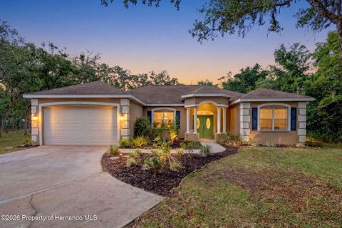 Houses For Sale In Spring Hill, FL