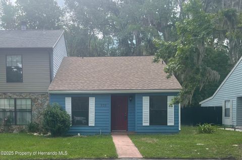 Townhouse in Brooksville FL 935 Village Drive.jpg