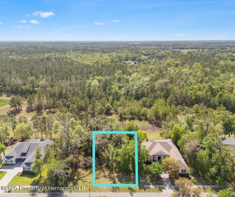 Unimproved Land in Brooksville FL 6055 Summit View Drive.jpg