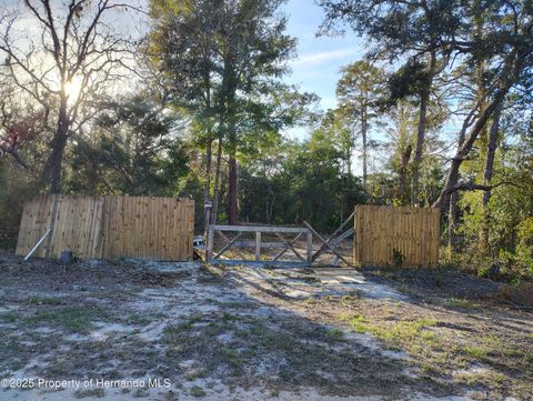 Unimproved Land in Shady Hills FL 0 Dansville Drive.jpg