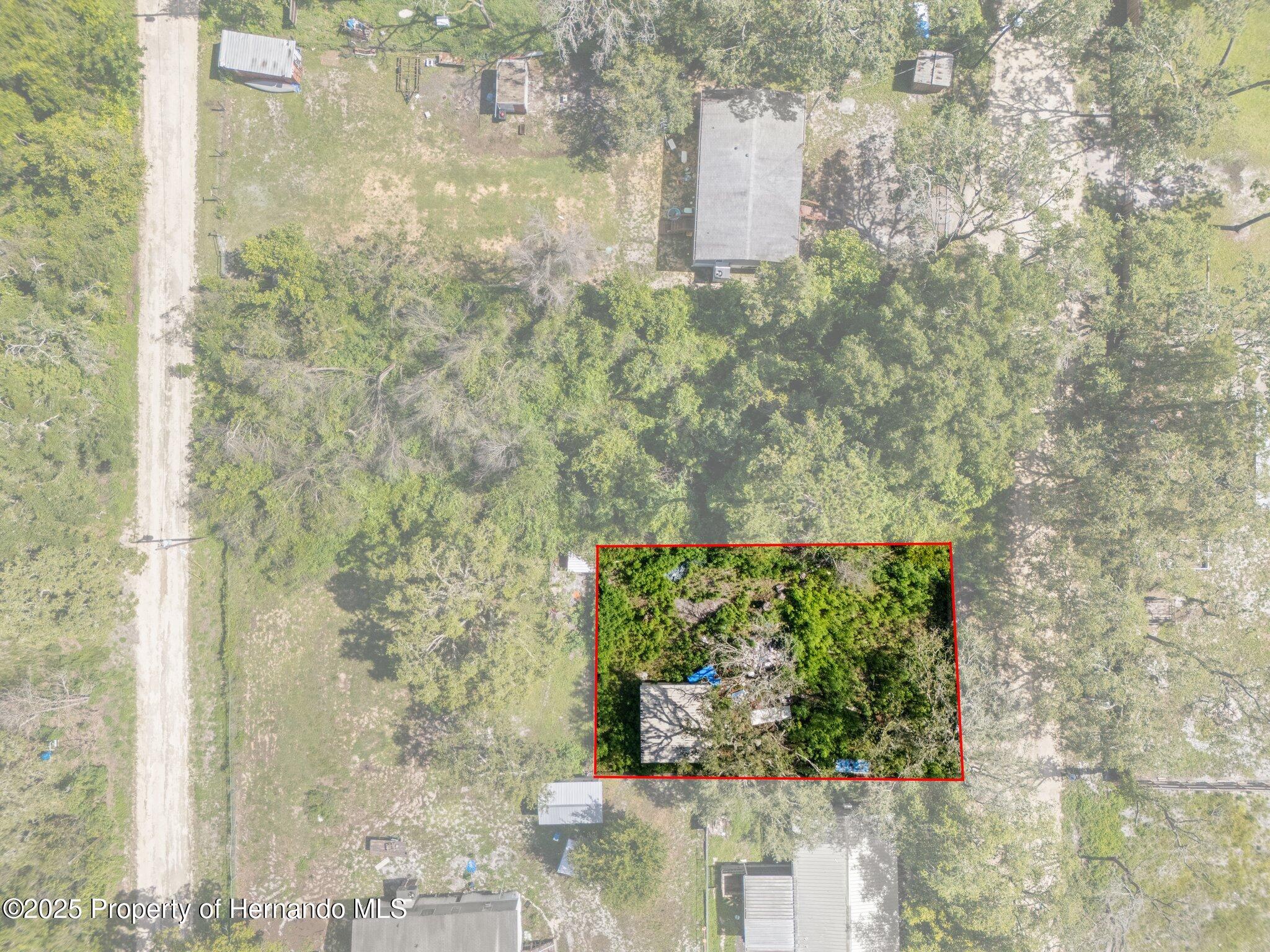 3241 Taffeta St, Ridge Manor, FL 33523 photo