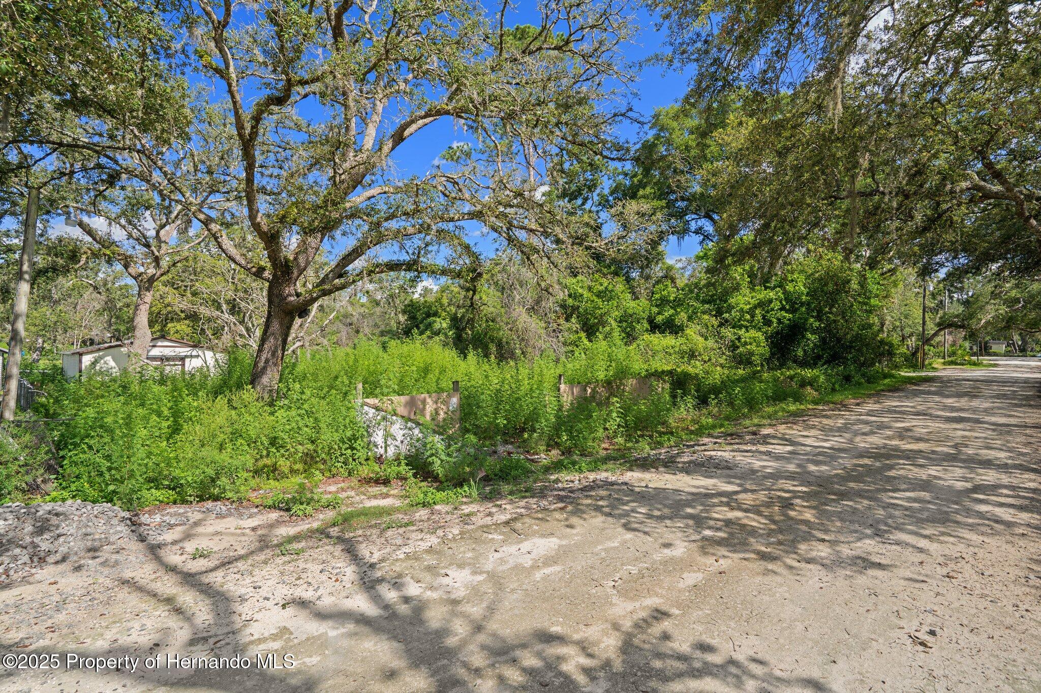 3241 Taffeta St, Ridge Manor, FL 33523 photo