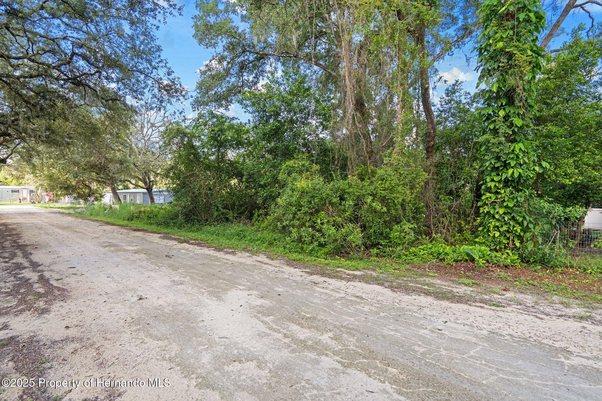 3241 Taffeta St, Ridge Manor, FL 33523 photo