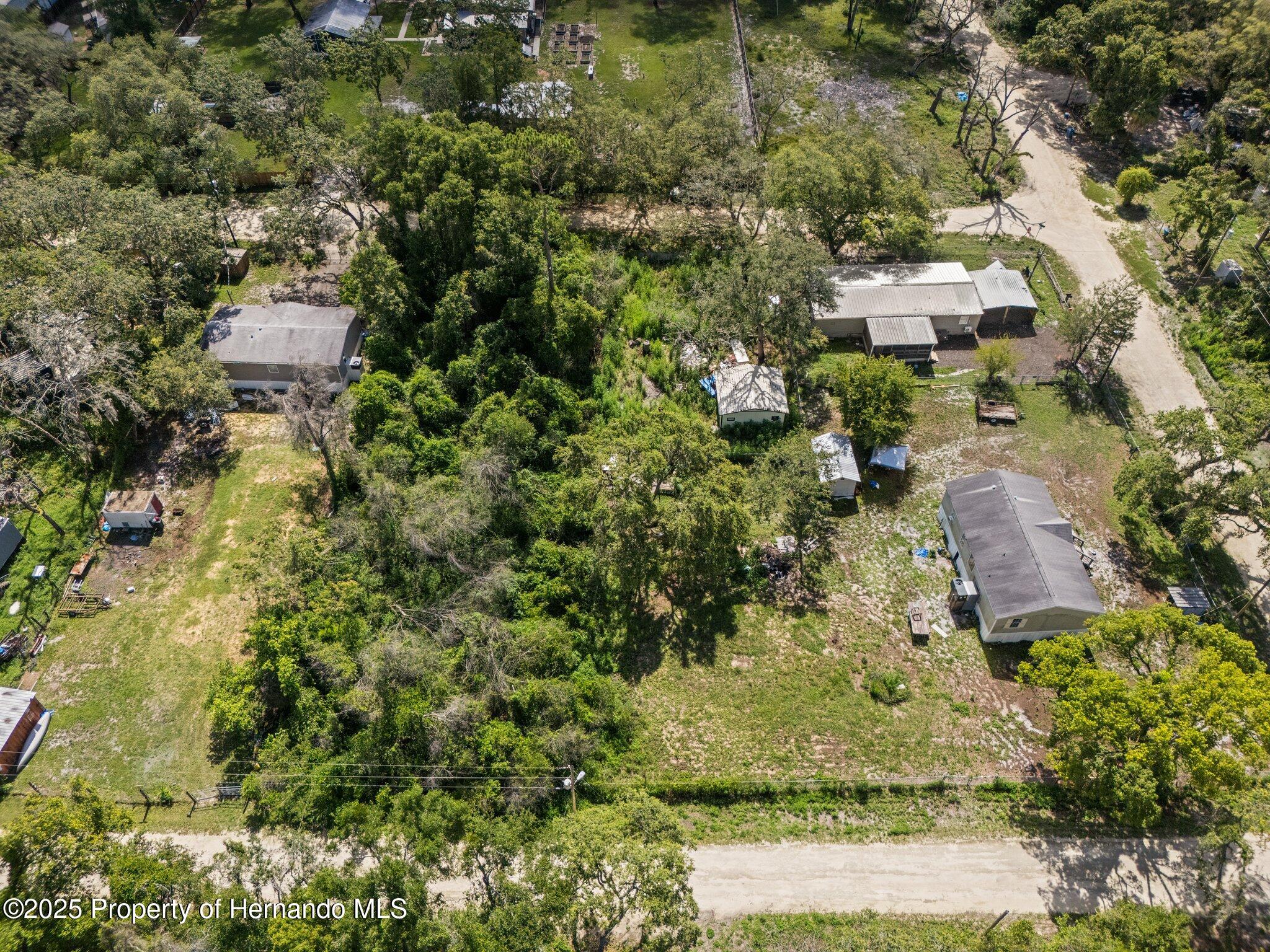 3241 Taffeta St, Ridge Manor, FL 33523 photo