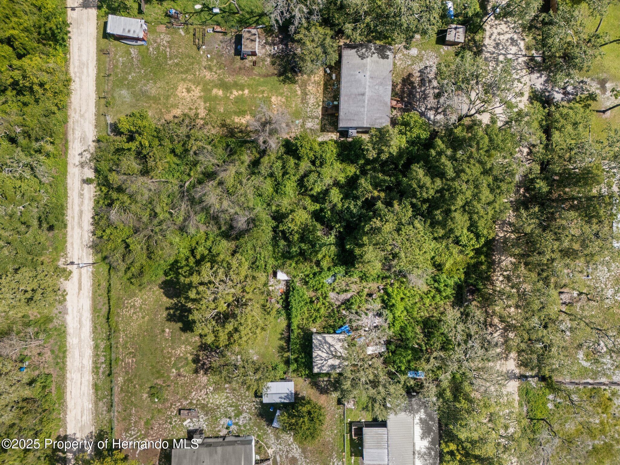 3241 Taffeta St, Ridge Manor, FL 33523 photo