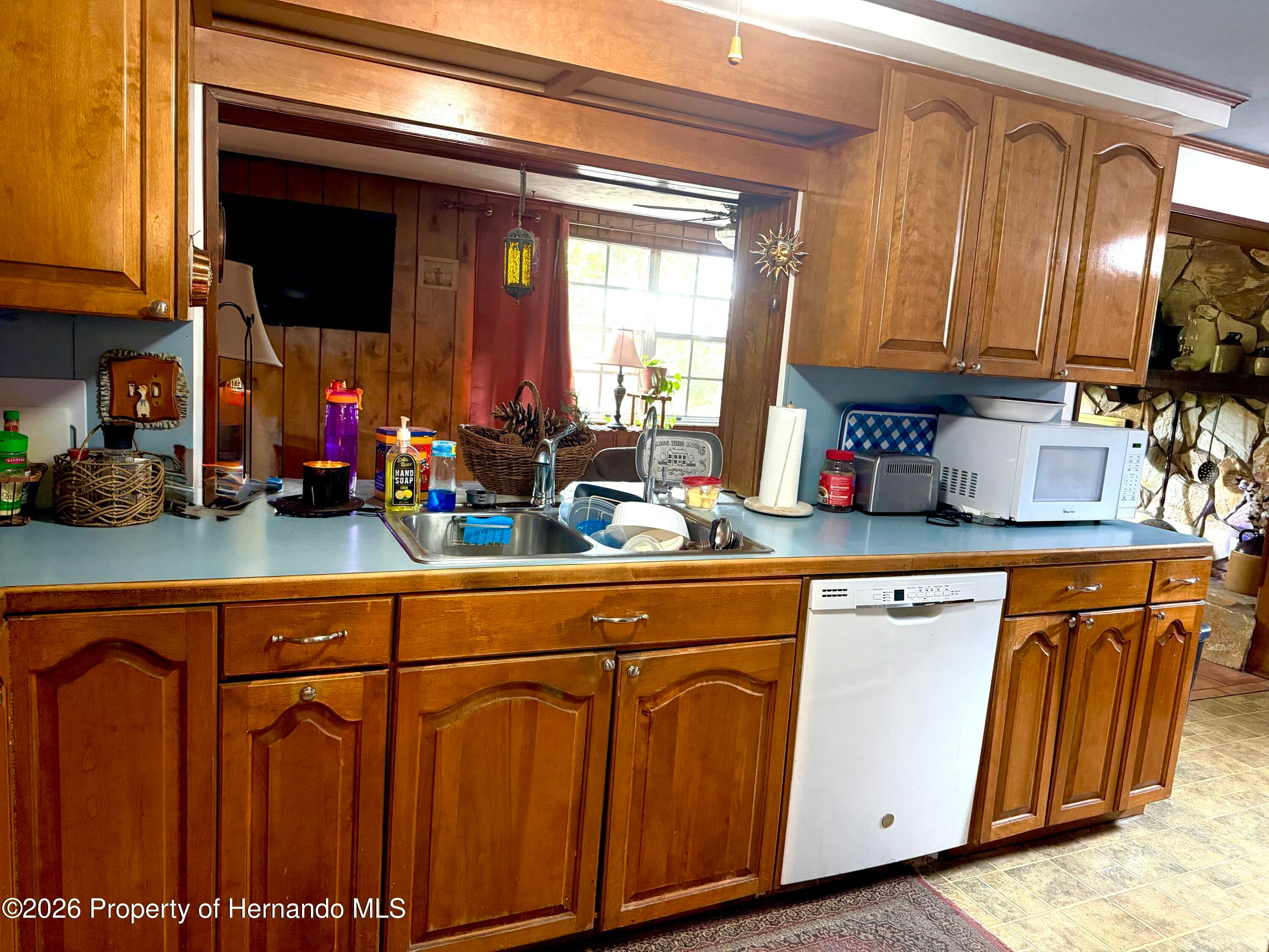 12204 Bear Creek Ln, Hudson, FL 34667 photo