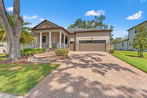 Single Family Residence in Brooksville FL 4910 Southern Valley Loop.jpg