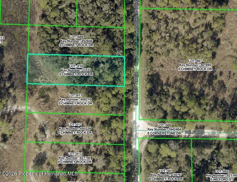 9111 Chimney Rock Dr, Webster, FL 33597 photo