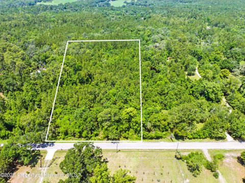 Unimproved Land in Brooksville FL 0 Emerson Road.jpg