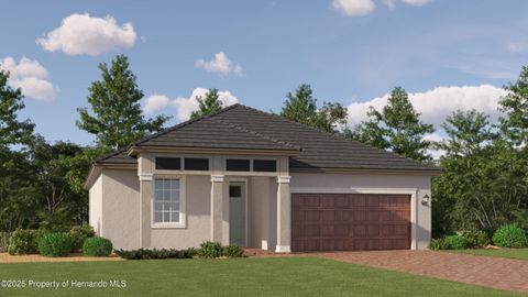 Single Family Residence in Land O' Lakes FL 9816 MINNOW RAY Drive.jpg