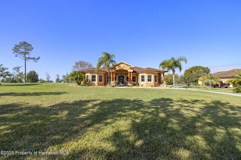 Single Family Residence in Dade City FL 14739 VISTA VIEW Court.jpg
