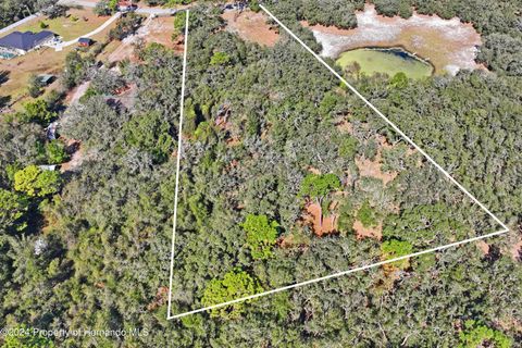 Unimproved Land in Shady Hills FL 16900 Akins Drive.jpg
