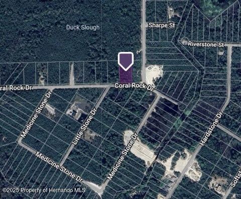 Unimproved Land in Webster FL 0 Coral Rock.jpg