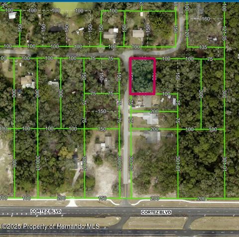 Unimproved Land in Dade City FL Lot 175C Madison Avenue.jpg
