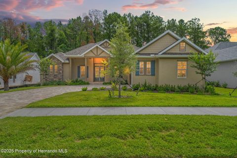 Single Family Residence in Brooksville FL 5034 Elm Leaf Drive.jpg