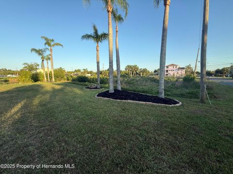 Unimproved Land in Hernando Beach FL 0 Fernleaf Drive.jpg
